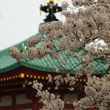 弁天堂と桜