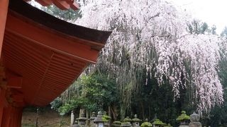 朱塗りの建物と釣り灯篭が見応えある