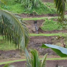 水が出ているのがわかります
