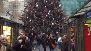 冬はスケートリンクが綺麗