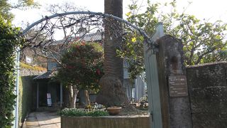 閑静な高台に建つ洋館