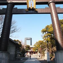 多くの方が同じショットです