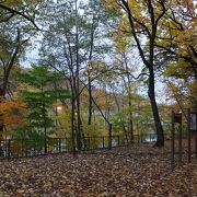 癒されたいなら、この公園！（札幌市南西部編）