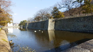 丸亀城のお堀には大き な白鳥