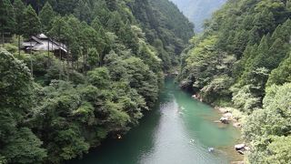 わさび料理がおススメ