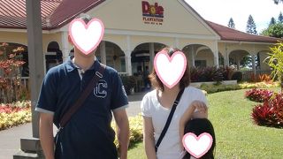 オリエンテーリング的な迷路があり結構な時間楽しめますよ