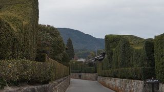 垣根のデザインが独特。