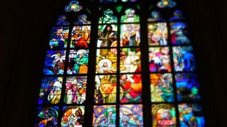 ハイシーズンは朝早い見学を。