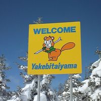 焼額山限定リフト券もあります