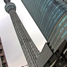 真下から見上げる