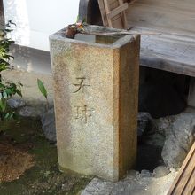 庭の隅にあった手水に「天球」の文字が。花も添えられてました。