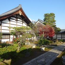 局稲荷からみた眺め。　これは本堂？なのかな？　非公開です。