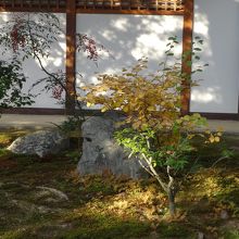 コントラストが素敵だなぁ・・・と思ってパチリ。