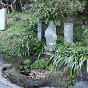 鎌倉十井の一つで、海蔵寺の山門前にある
