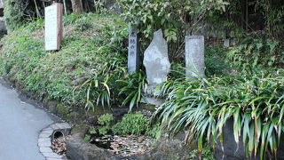 鎌倉十井の一つで、海蔵寺の山門前にある
