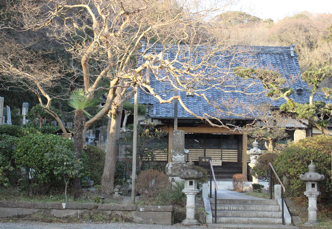 円久寺 クチコミ アクセス 営業時間 鎌倉 フォートラベル