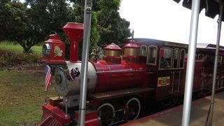 きれいなトイレをありがとう！