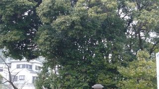 平安中期の歌人、能因奉仕の墓といわれています