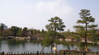 素敵な癒しスポットです。