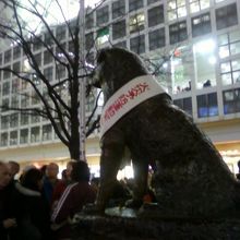 ハチの後ろ姿です。