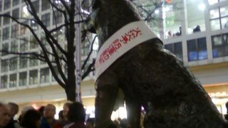 世界のハチになるつつある？