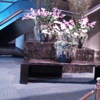 ロビー後ろにある枯山水をモチーフにした庭？