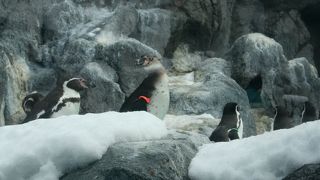 空いていました。