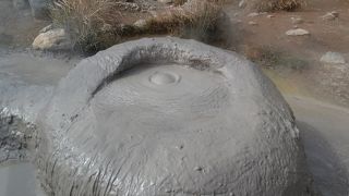 お寺なので庭園が綺麗。