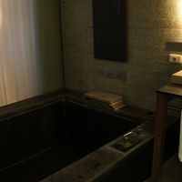 内風呂。左のカーテンの向こうがベッドルーム