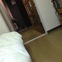 玄関、廊下、部屋となっていて、廊下と部屋はドアで区切れます