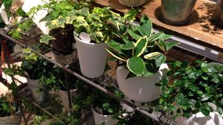 可愛らしい雑貨が多いお店です!!