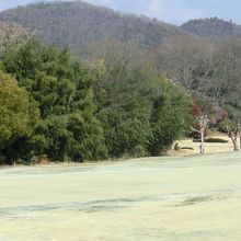 福岡城址跡と戦跡？
