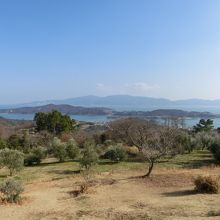 オリーブ園からの前島と小豆島