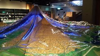 模型でお勉強♬