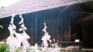 重要文化財に指定されている茅葺の建物