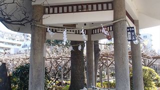 手洗所です。ここでは、亀戸天神社の名前の由来らしく、お水が亀の銅像の置物から出ています。