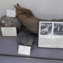 展示室内