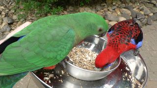 グリーンマウンテンツアー