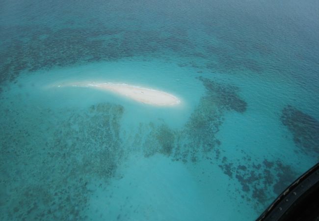 シニアの滞在ケアンズ旅行　ヘリコプターで行く　グリーン島とアウターリーフ　　ＢＹおしどり