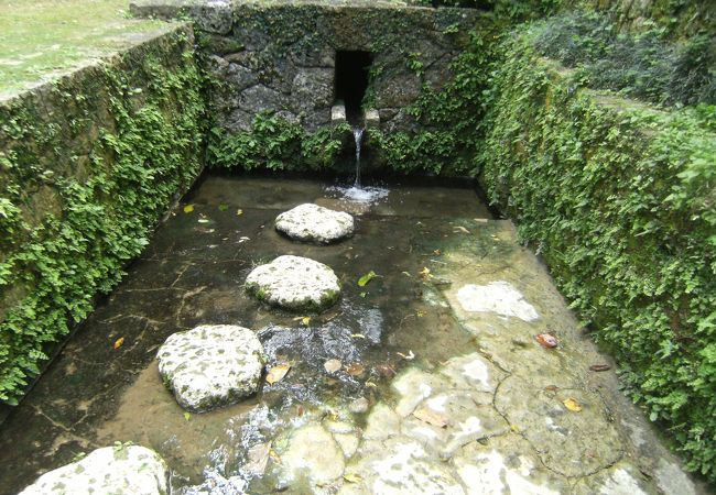 森の川 クチコミ アクセス 営業時間 宜野湾 北谷 中城 フォートラベル