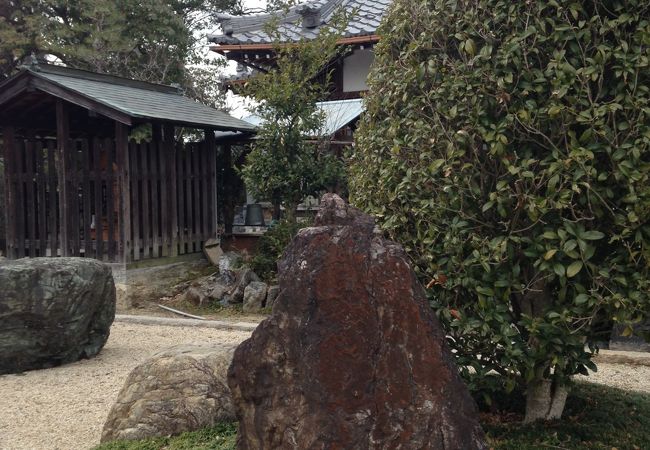 守山市の市の花にもなっています!!