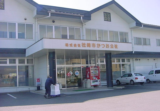 枕崎市かつお公社 クチコミ アクセス 営業時間 枕崎 フォートラベル 枕崎市かつお公社 クチコミ アクセス 営業時間 枕崎 フォートラベル