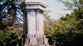 家康が最終的に敷いた陣地