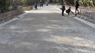 馬場は普段散策路。年3回お見逃しなく