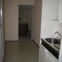 玄関から見た様子。右にキッチン、左にバスルームのドア。