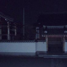 新しいので暗くても浮かびあがって見えます