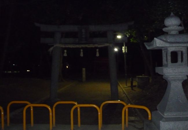 うっそうとした神社