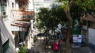 おしゃれな通り