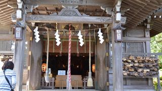 樹齢千年余りの榧の木