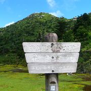 屋久島・花の江河